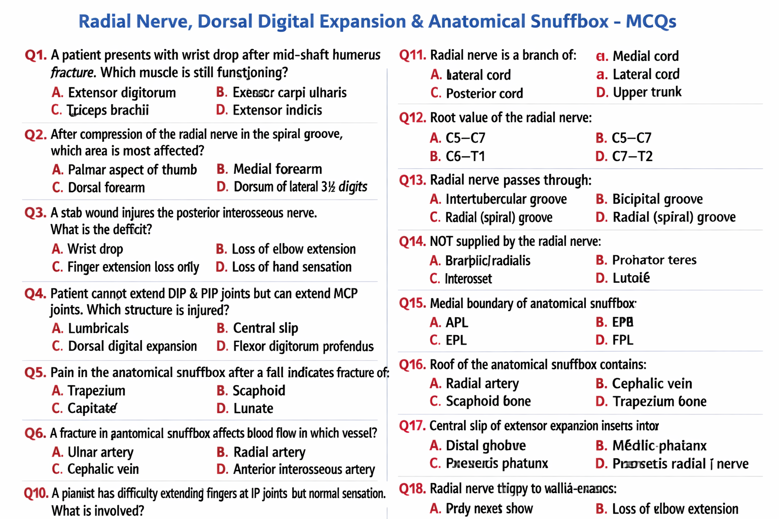 Illustration of Radial Nerve, Dorsal Digital Expansion and Anatomical Snuffbox Anatomy Explained symptoms
