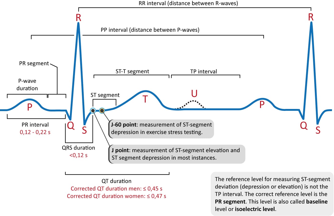 Illustration of Electrocardiogram ECG Interpretation Guide for Medical and Clinical Practice symptoms