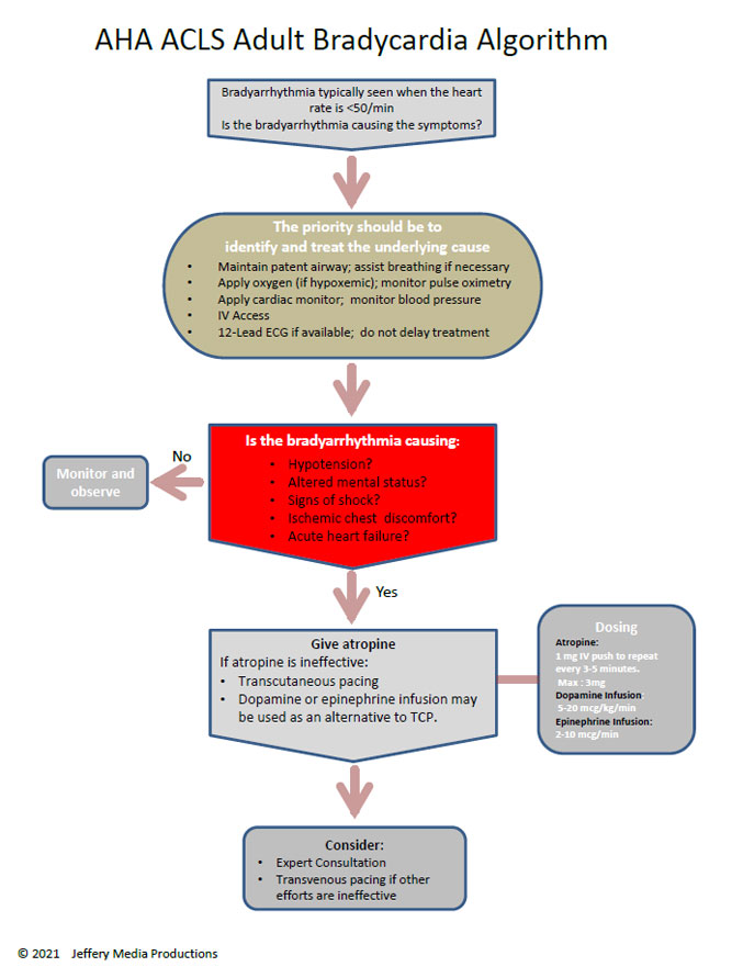 Illustration of Symptomatic Bradycardia With Pulse Management Guidelines and Drug Dosing symptoms
