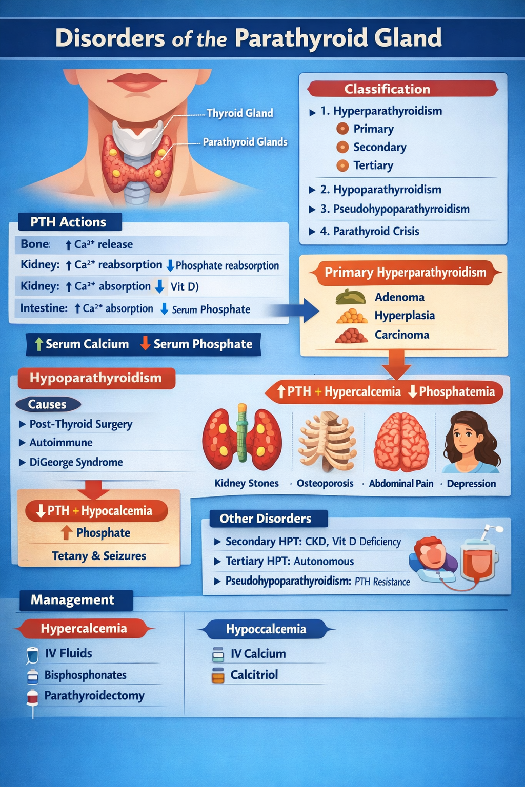 Illustration of Disorders of Parathyroid Gland Complete Clinical Guide for Medical Students symptoms
